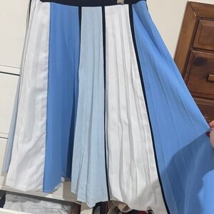 Blue and White Pleated Women's Skirt